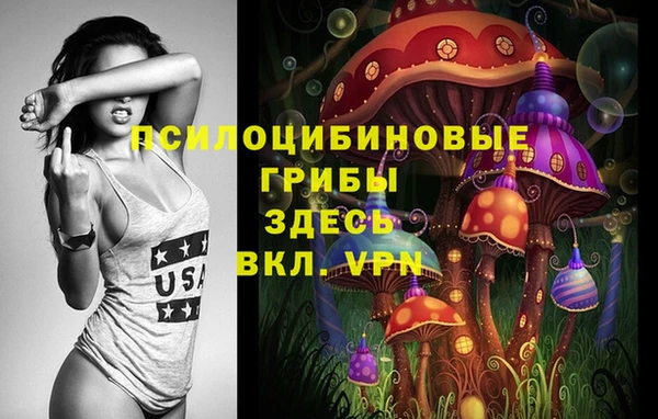 МДПВ Богородицк
