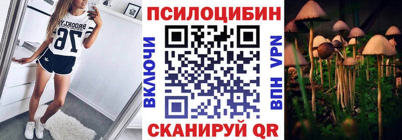 Галлюциногенные грибы мухоморы  наркотики  Дальнегорск 